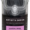 ARTIST'S CHOICE - Charcoal Swabs - 100 Pack -Care Product Shop AC100S charcoal swabs 30339.1566799056