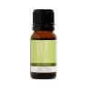 ECO MODERN ESSENTIALS - Everyday Blends - Bergamot 10ml -Care Product Shop Bergamot 95847.1607128817