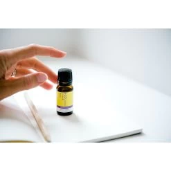 Care Product Shop -Care Product Shop Eco2020 121 2000x 24544.1587244219