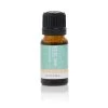 ECO MODERN ESSENTIALS - Kids Blends - Little Study Time 10ml -Care Product Shop StudyTime ECOA159 2000x 19382.1587207240