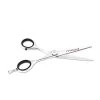 IN MOOD - Professional 5.5" Chrome Hairdressing Cutting Scissor -Care Product Shop chrome 5andahalf inch scissors 22153.1603242312 06053.1637289091