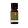 ECO MODERN ESSENTIALS - Everyday Blends - Tea Tree 10ml 2 ECO MODERN ESSENTIALS - Everyday Blends - Tea Tree 10ml -Care Product Shop tea tree 41503.1607129539